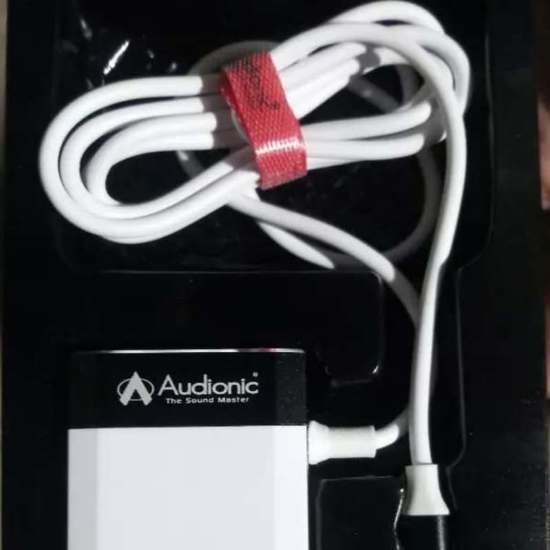 Audionic Swift P-55 power charger (3.1A)
