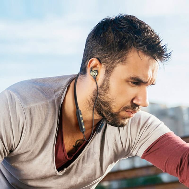 Dany Collar Buds C-40 earphone with mic (Neckband)